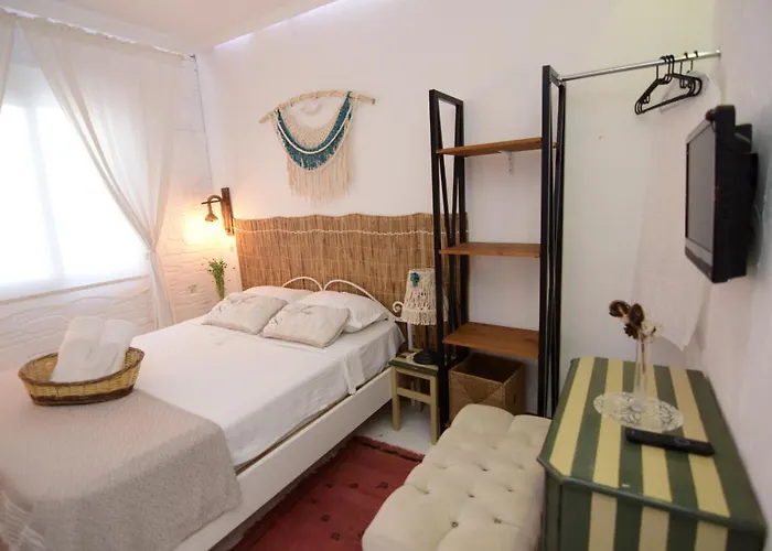 Bed and Breakfast Aracati 3*