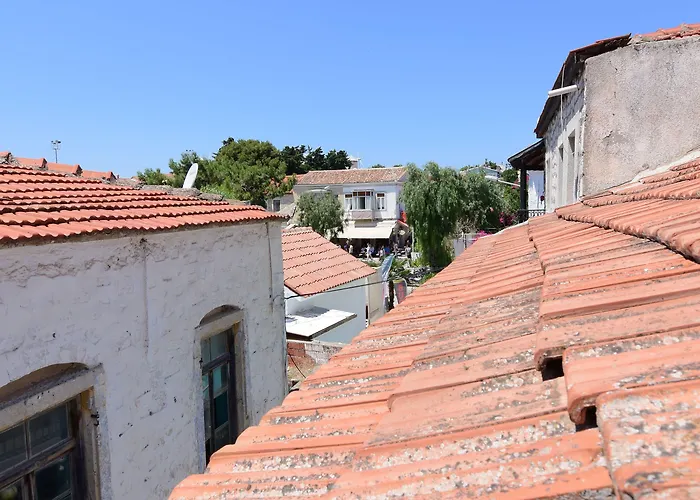 Bed and Breakfast Aracati 3*